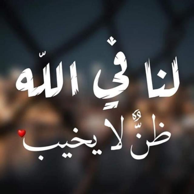 شرف التميمي00967735183186 tweet media