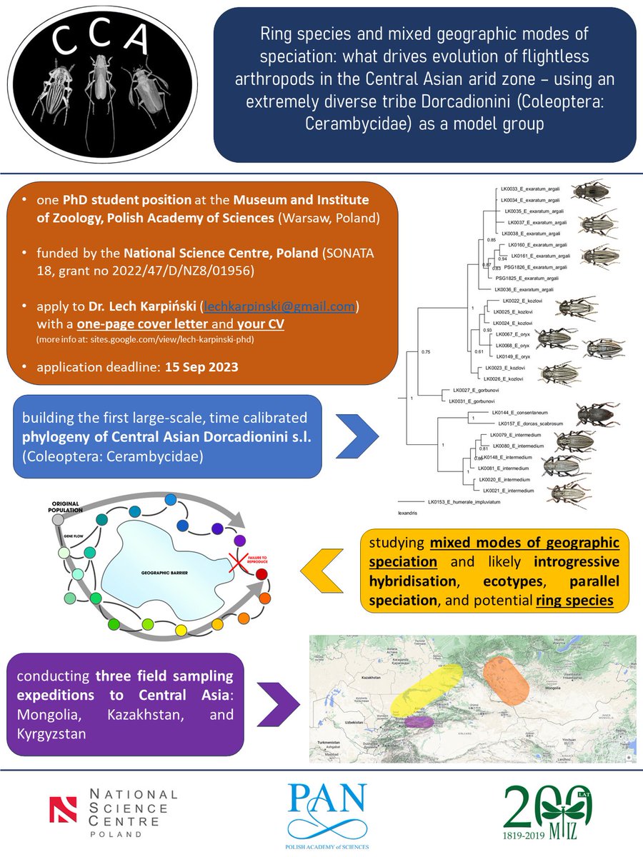 Radomir Jaskuła tweet media