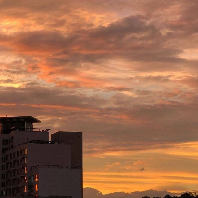 ɴɪɢʜᴛꜱꜱ ִֶָ࣪☾. tweet media