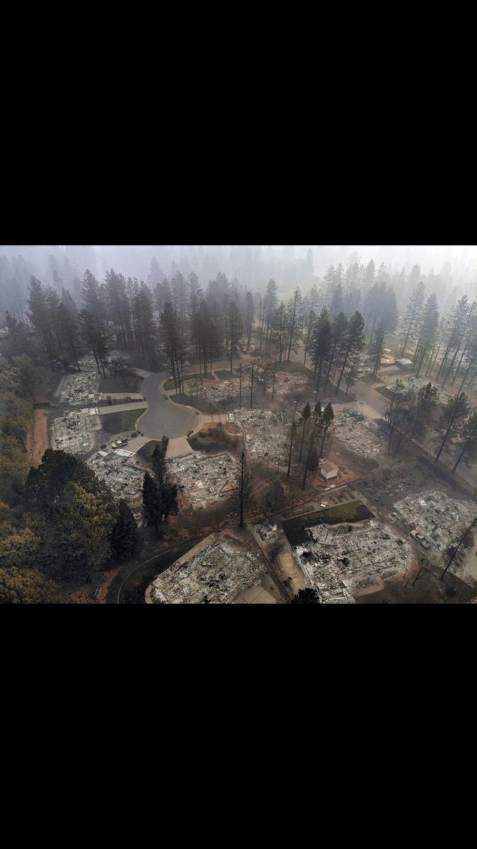 Concerned Citizen tweet media