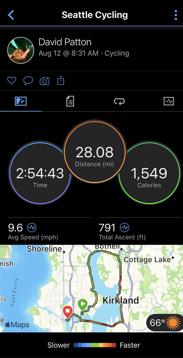 David Patton tweet media