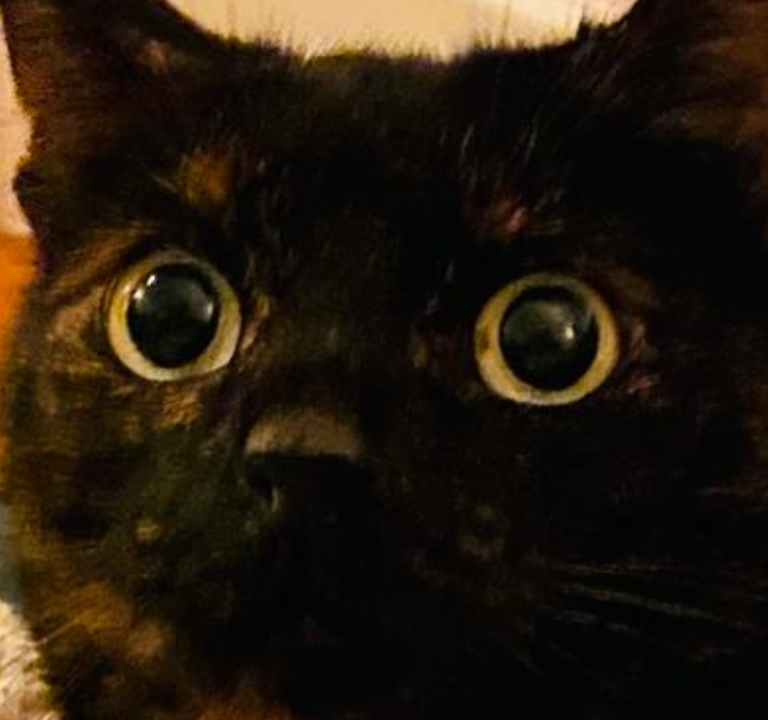 launchablesocks's tweet photo. I HAVE STARED INTO THE ABYSS AND THE ABYSS STARED BACK https://t.co/D1kPCV3FsQ