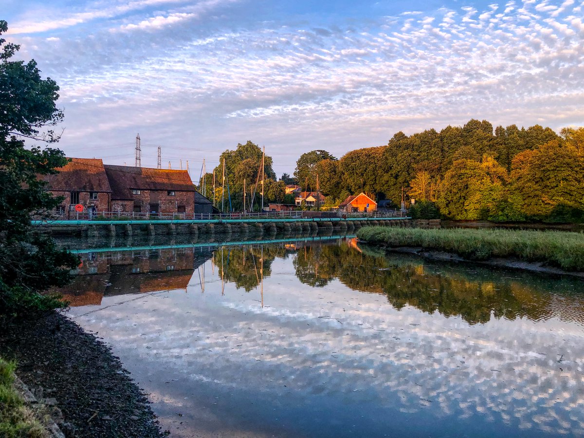 Colin Lee tweet media