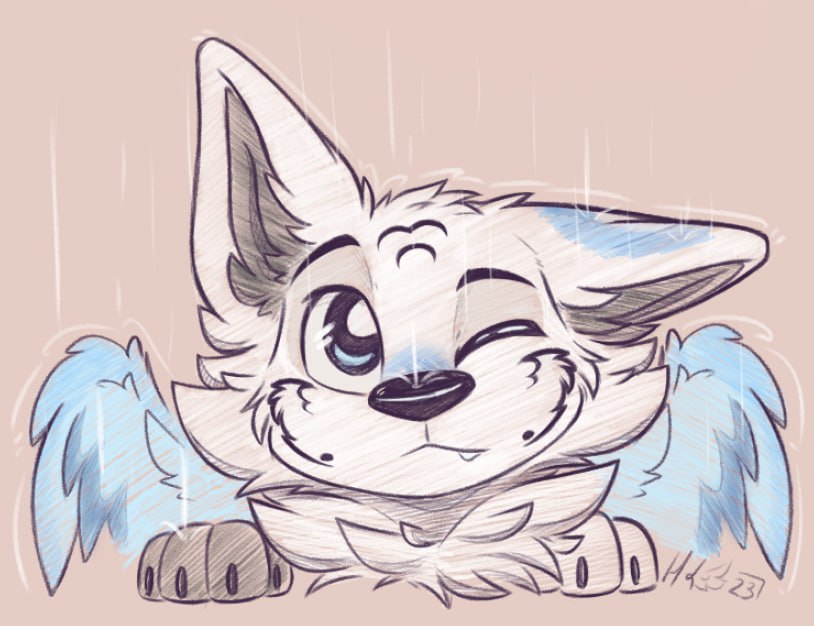 HaikoTheFox's tweet photo. I really love rain, perfect weather to chill inside with some hot chocolate and a fuzzy blanket https://t.co/ZbNz1tkykU