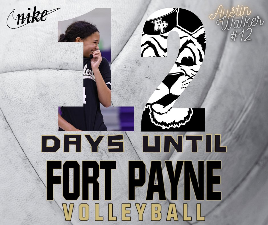 Fort Payne Volleyball tweet media