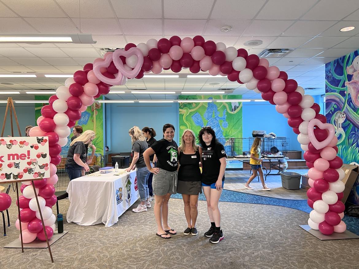 Kittens in the Library 🐈📚  was a resounding success with all 19 kittens finding furever homes!  Happy chaos all around.  

❤️ Thanks to our furtastic volunteers &amp; staff who pulled it all together AND to our purrfect pawtners at <a href="/GTPublicLibrary/">Georgetown Library</a>.