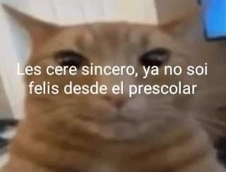 paracetamor's tweet photo. https://t.co/JqrOiiIflv