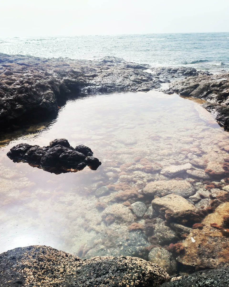 VCorreaTF's tweet photo. ๐
Los Charcos de la #PlayadeLaConcha en #ElCotillo son uno de los espectรกculos con los que la naturaleza nos brinda en ese rincรณn de #Fuerteventura
.
.
.
.
.
.
.
#Fuerteventura #canariaslifestyle #fuerteventuraexperience #fuerteventuralovers #IslasCanarias #canariasnatural https://t.co/4NdSvH9rHh