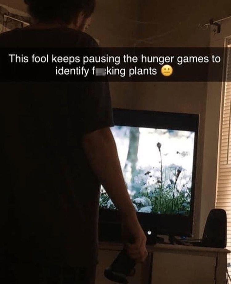 wizardsofautism's tweet image. i have this flavour of autism