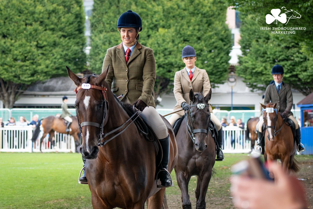 IREthoroughbred's tweet photo. 2022 Champions GENERAL PRINCIPLE &amp; @Seaininmahon put in a sterling performance to land fourth in today's ITM Racehorse To Riding Horse Final @DublinHorseShow. 💚

Irish Grand National winner for @gelliott_racing &amp; now a major talent as a riding horse. 👌

#DublinHorseShow https://t.co/XH0AQfClwh
