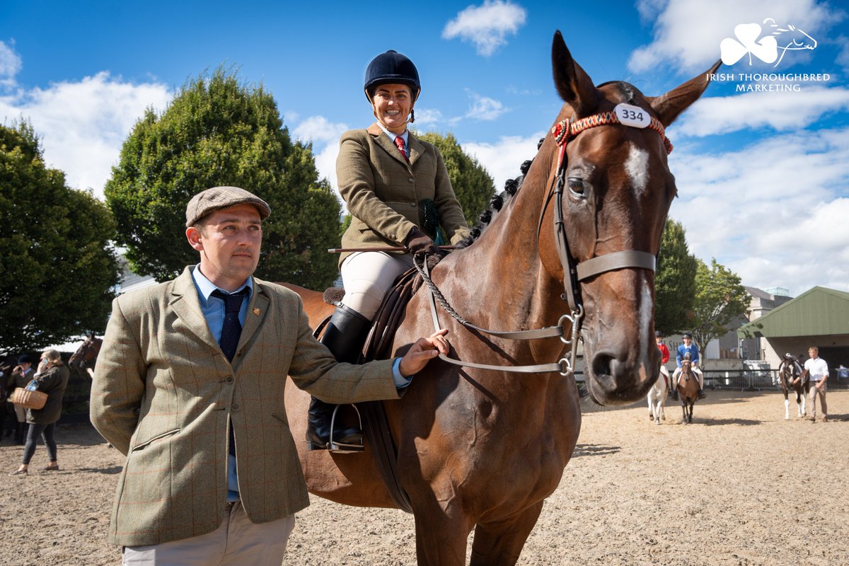 IREthoroughbred's tweet photo. 2022 Champions GENERAL PRINCIPLE &amp; @Seaininmahon put in a sterling performance to land fourth in today's ITM Racehorse To Riding Horse Final @DublinHorseShow. 💚

Irish Grand National winner for @gelliott_racing &amp; now a major talent as a riding horse. 👌

#DublinHorseShow https://t.co/XH0AQfClwh