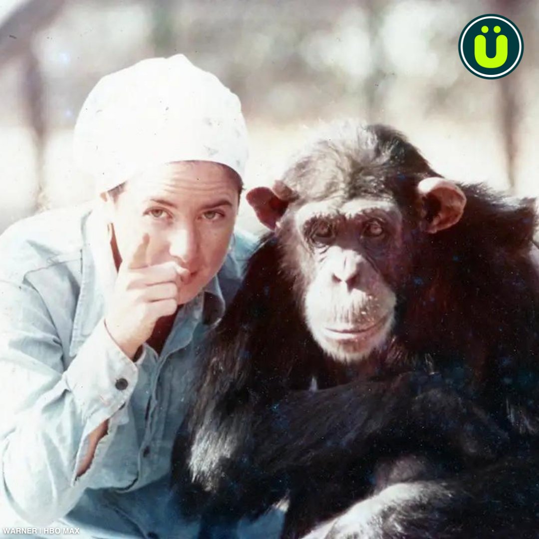 UberFacts's tweet photo. During the early 1960s, a chimpanzee named Lucy was raised as if she were a human daughter by a psychotherapist and his wife

She ate food using cutlery, wore clothes, enjoyed magazines, enjoyed drinking gin, could sign 250 words, and tried to masturbate with a vacuum cleaner https://t.co/ZiWMXr3jIn
