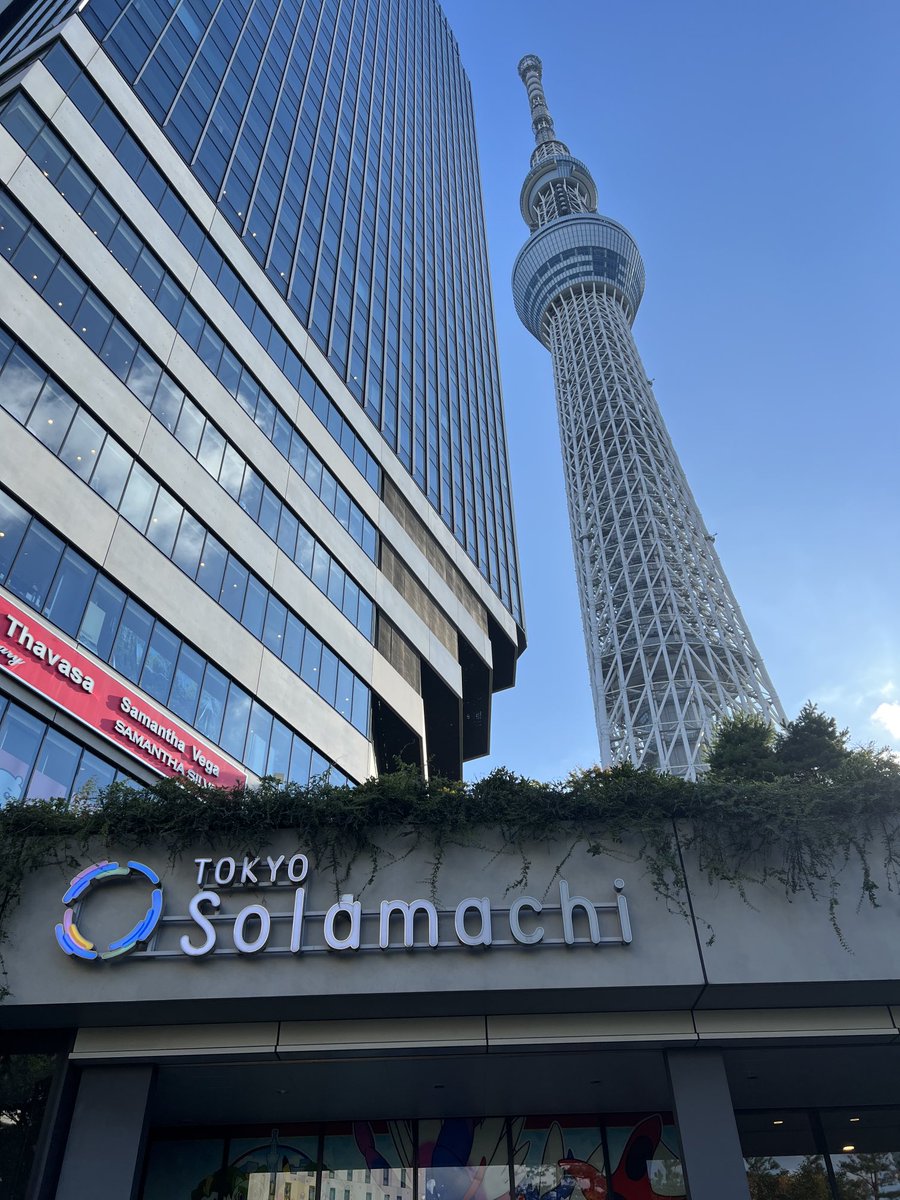 サンディ (Soundwish) tweet media