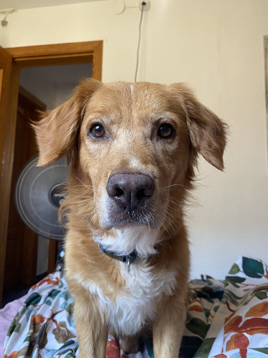MirVegus's tweet photo. mi hijo el más guapo es que le amo mucho https://t.co/w2xIutFAT4
