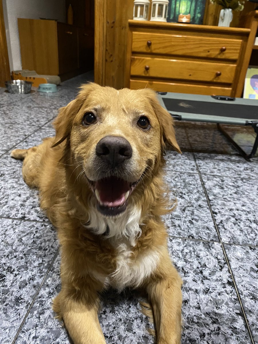MirVegus's tweet photo. mi hijo el más guapo es que le amo mucho https://t.co/w2xIutFAT4