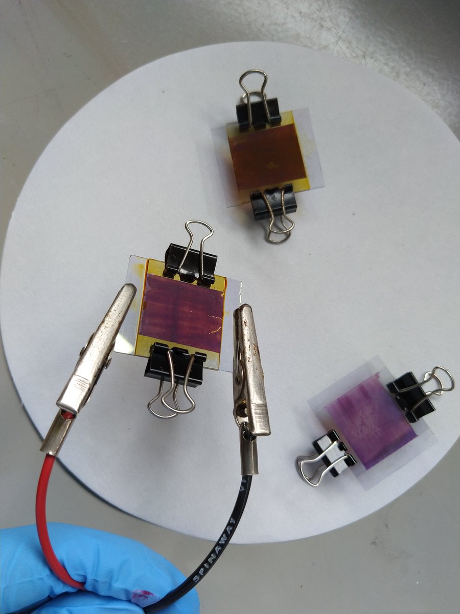 Joanne Jamie tweet media