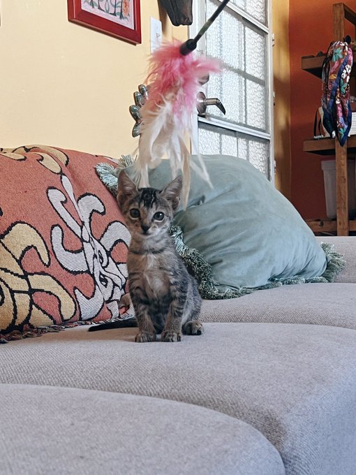 She&rsquo;s growing up 🤤 https://t.co/msvt4NAIP4