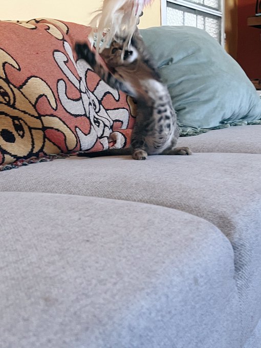 She&rsquo;s growing up 🤤 https://t.co/msvt4NAIP4