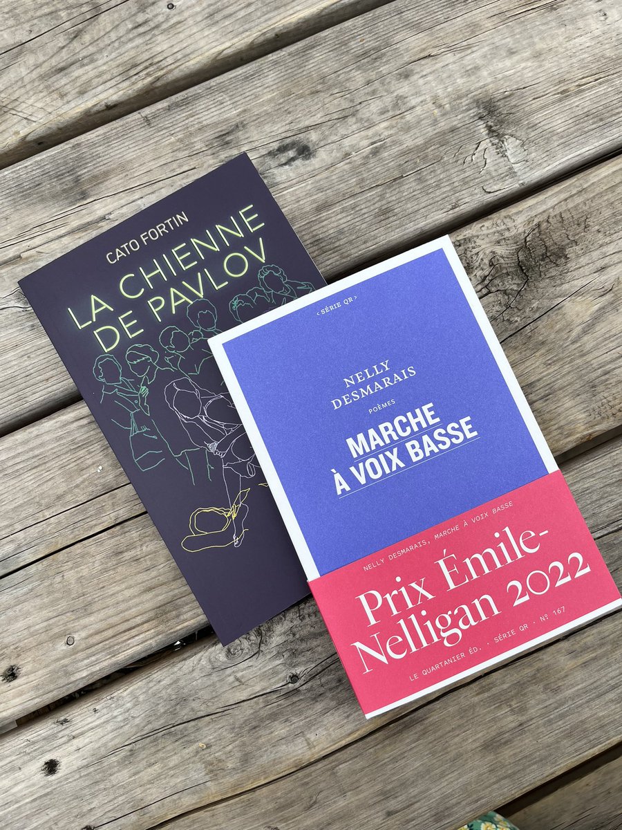 My finds for #12aout 💎 

Poetry by @DesmaraisNelly and a novel by Cato Fortin 📚 from @LibrairiePauli1 in Rosemont