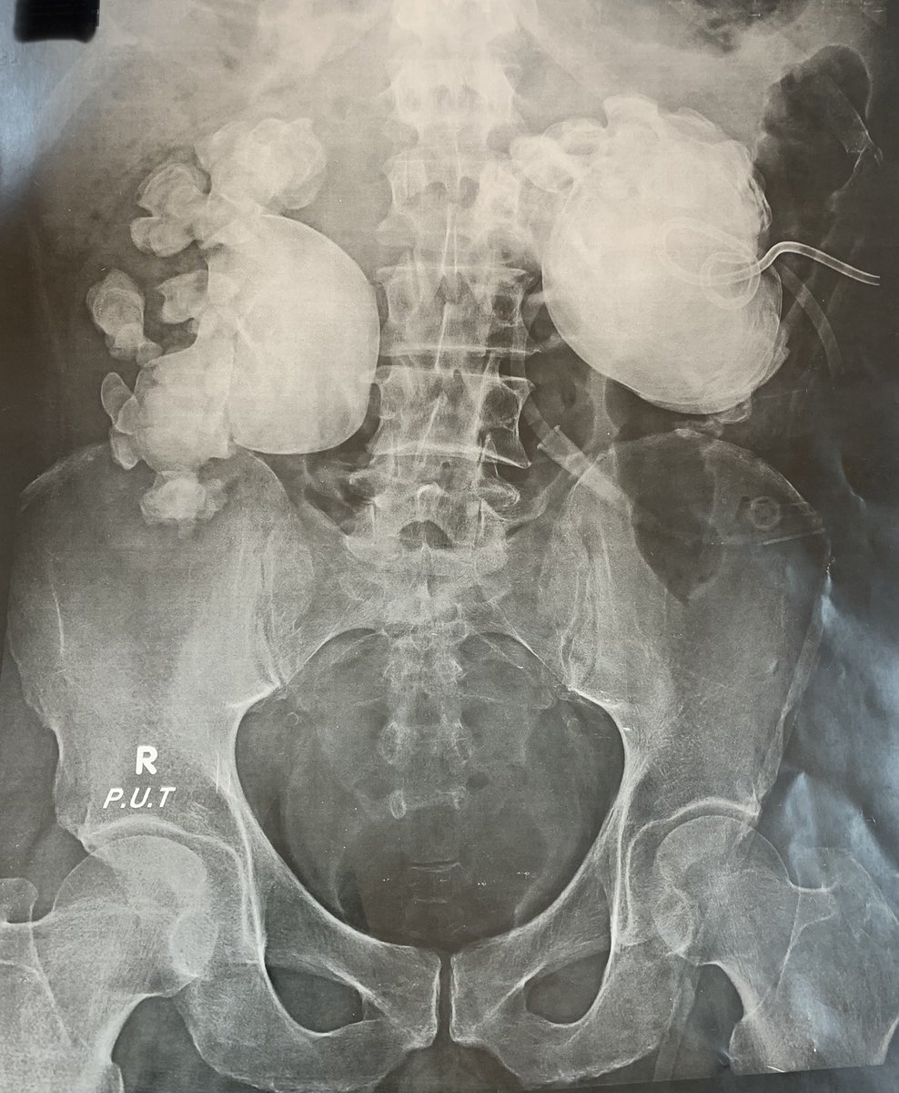 Mohamed Elsaqa tweet media