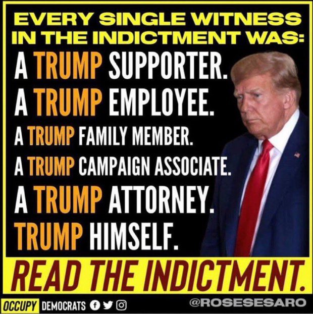 <a href="/TimRunsHisMouth/">Tim Young</a> Keep pretending Trump’s never committed a crime &amp; it’s not republicans testifying against Ol’ Donny boy 😆