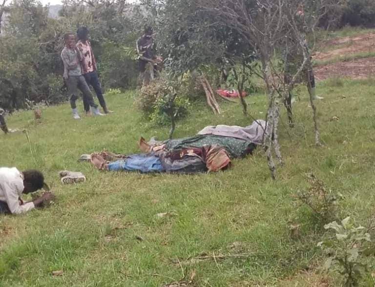 SabaaGumaa's tweet photo. አሁን ያለንበት ሥርአት የኦሮሞን ህዝብ መጨፍጨፊያ ዘዴ እንጂ የኢትዮጵያ መንግሥት ነኝ ባዩ ሥልጣን ላይ ከወጣበት እለት ጀምሮ የኦሮሞ ህዝብ እንደ ቅጠል እየረገፈ ይገኛል!!! https://t.co/yilbjMaI9z