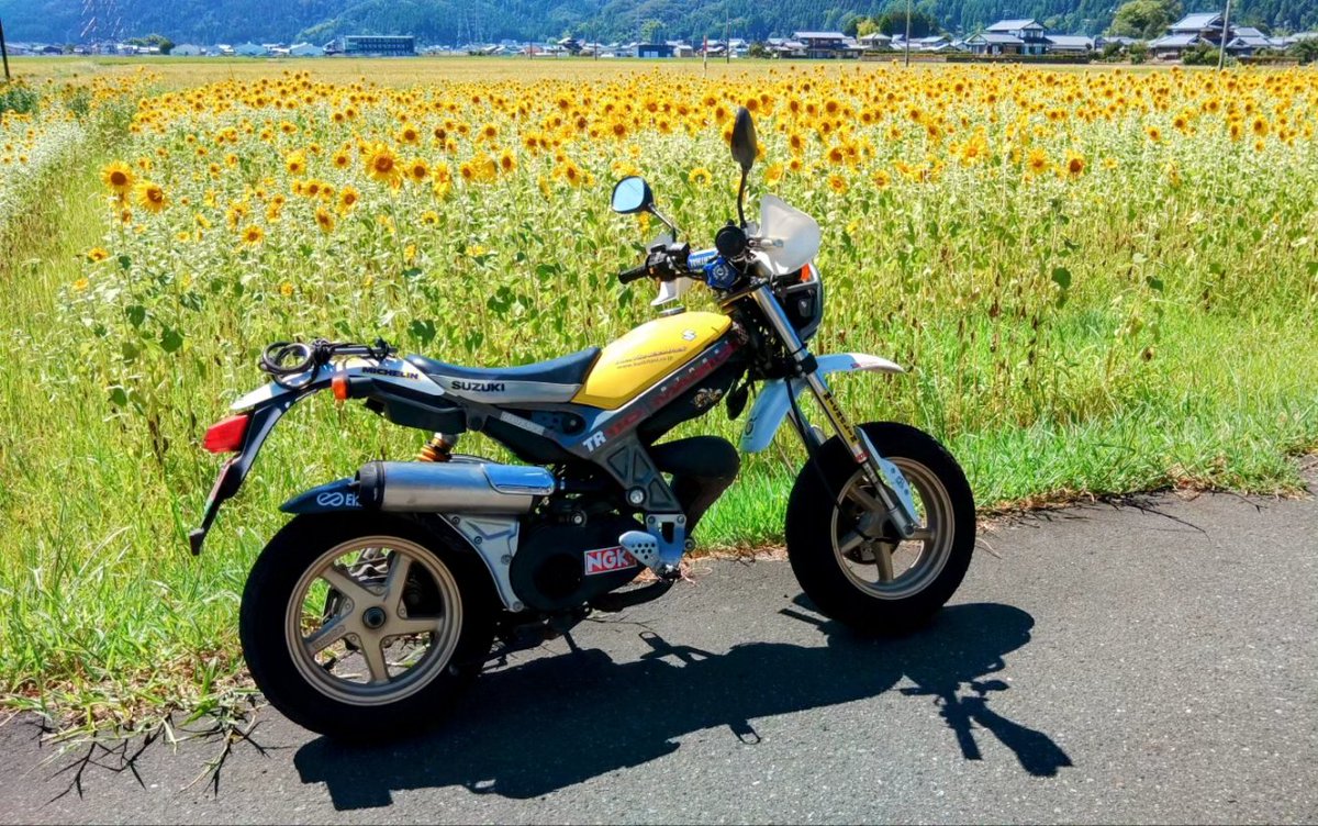 yoshiyam1e26's tweet photo. #原付2種展示会やろうぜ　ストマジ110です🌻　#TR110　#ひまわり畑 https://t.co/kPmZ8myCh2