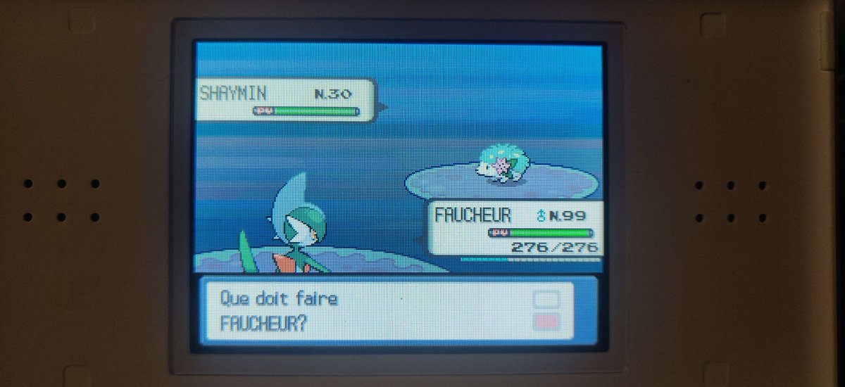 Dabi013SH's tweet photo. ✨Shaymin Shiny 😍🎉 après deux ans de sèche (merci Riolu de Armand) https://t.co/8tqF2KTNv0