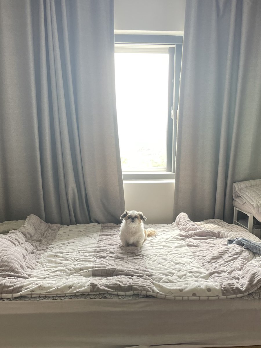 제 직업은,...
아.. 왜 이렇게 떨리지? 저는 수면에 관련된 
일 을 하고 있어요, 저는.
침대 프로텍터입니다.
침대를 지키고, 음... 푹신한지 체크하는 게 
주업무라고 보시면 될 것 같아요.
좀 생소하죠? 예전에는 잠꾸러기라는 이름으로 더 많이 불렸었다고 해요