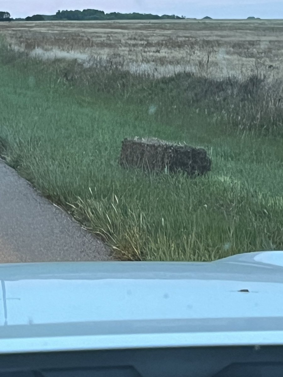 Tim15167195's tweet photo. Square bales along the highway?? WTH??  #overacheiver https://t.co/RUqGnKZ3WY