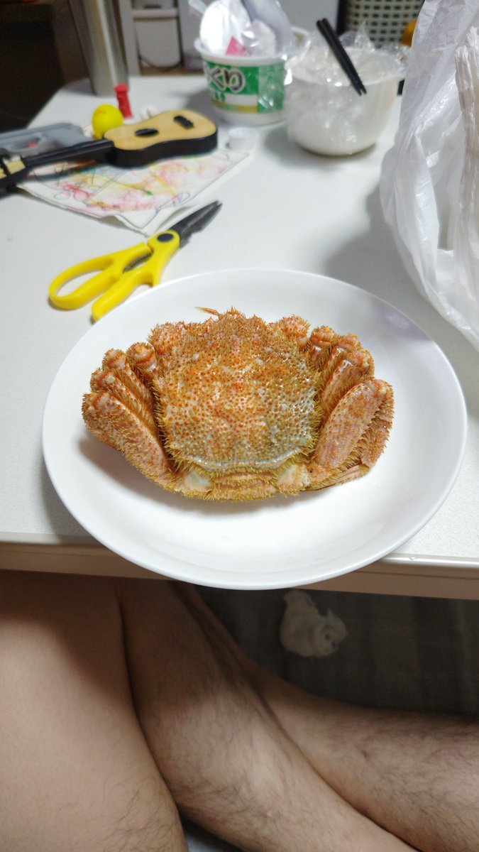UPDATE2020_0808's tweet photo. 貰った蟹
1時間もせず
たいらげる
1杯じゃなくて
2杯だよ？ https://t.co/oqe2OH1vjF