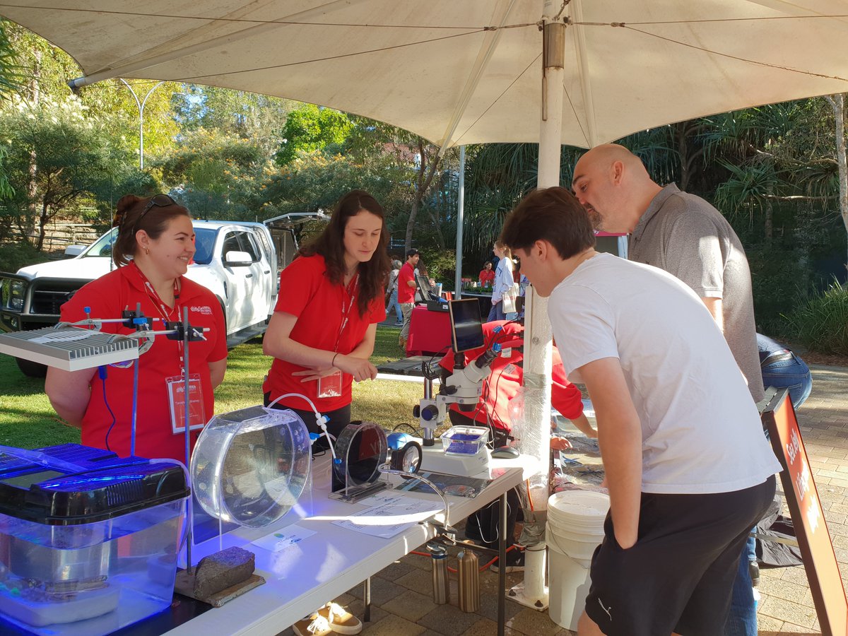 GriffithJellies's tweet image. The #jellyfish display and marine touch tank are proving popular @Griffith_Uni #openday!

@Griffith_SciEnv 
@GU_Sciences
#GriffithSeaJelliesResearchLab