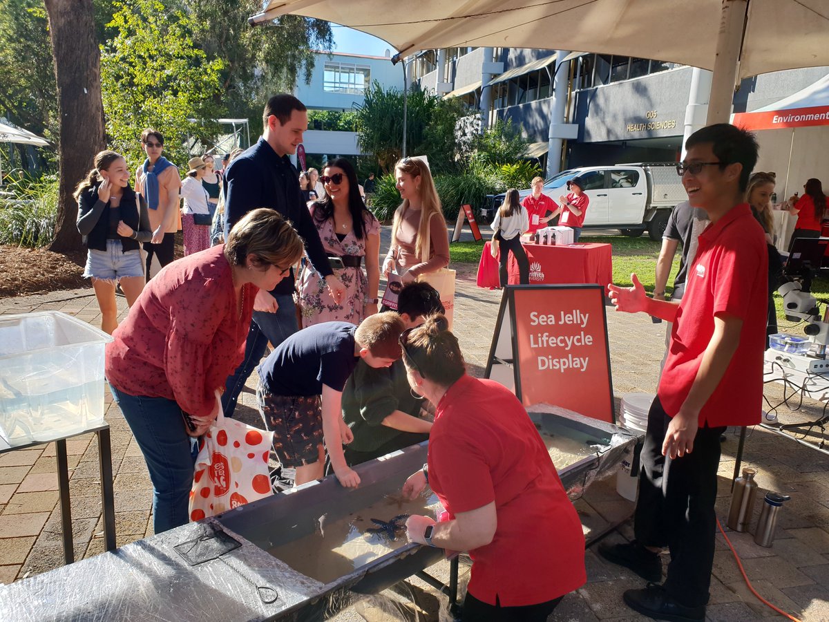 GriffithJellies's tweet image. The #jellyfish display and marine touch tank are proving popular @Griffith_Uni #openday!

@Griffith_SciEnv 
@GU_Sciences
#GriffithSeaJelliesResearchLab