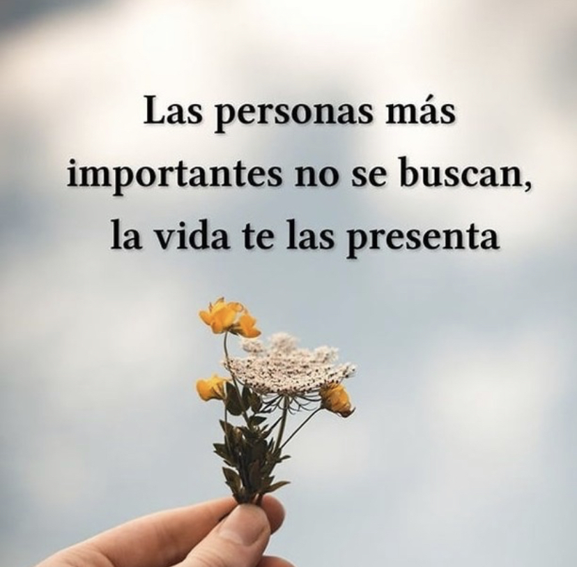 Paulo Coelho Español (@paulocoelhodice) on Twitter photo 