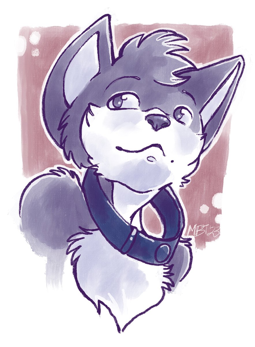 Meghan Taylor 🇨🇦🌻🇺🇦 tweet media