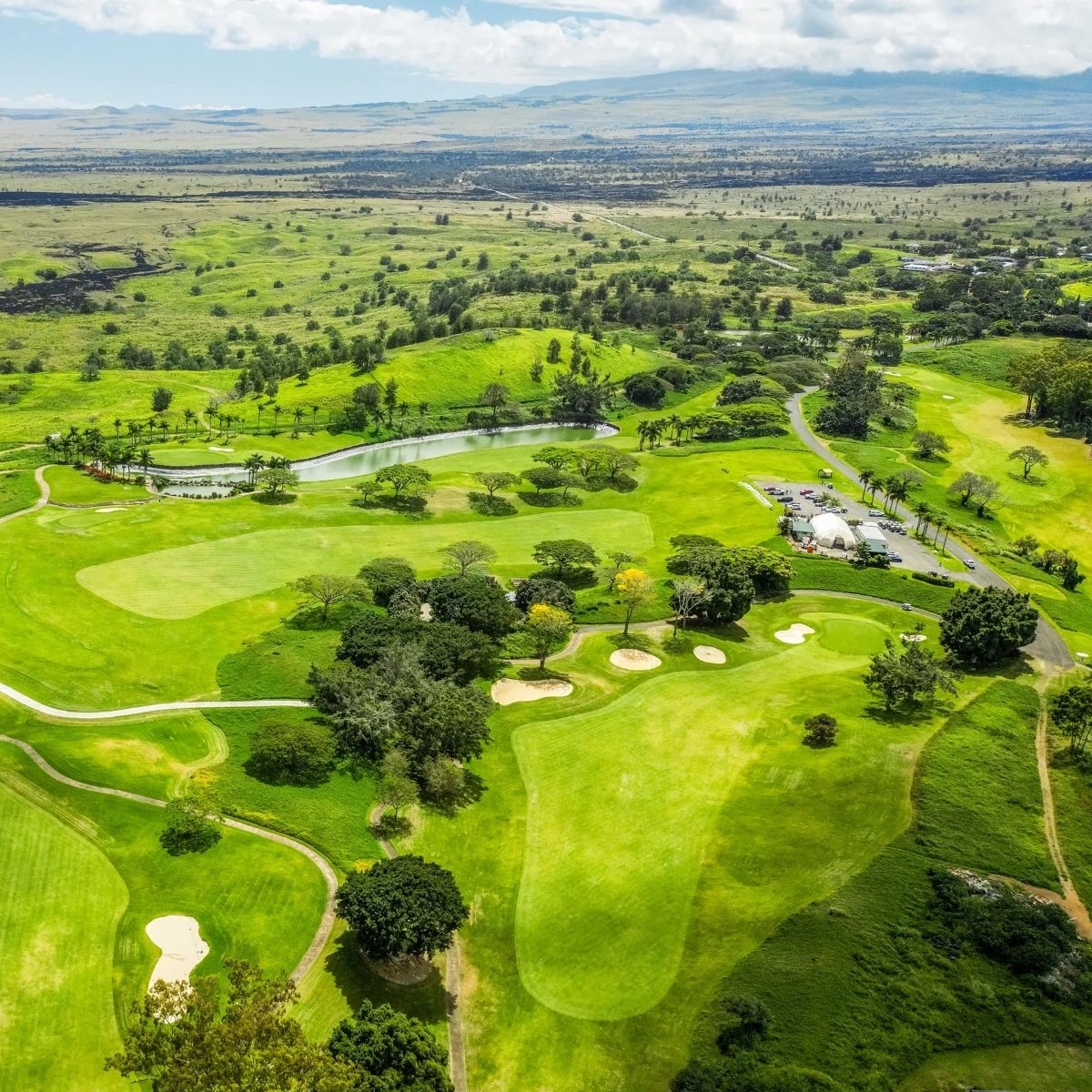 What makes us Hawaii's hidden gem? How about our 72-par Dye-designed course, affordable rates, and breathtaking views? It's a must-visit for all golf enthusiasts! Book your tee time on our website. #DestinationGolf #HawaiiExperience #LocalFavorite

bigisland.ezlinksgolf.com/index.html#/se…