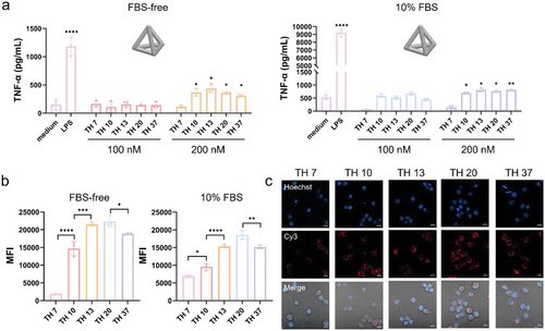 Morphology Dictated Immune Activation with Framework Nucleic Acids
onlinelibrary.wiley.com/doi/10.1002/sm…