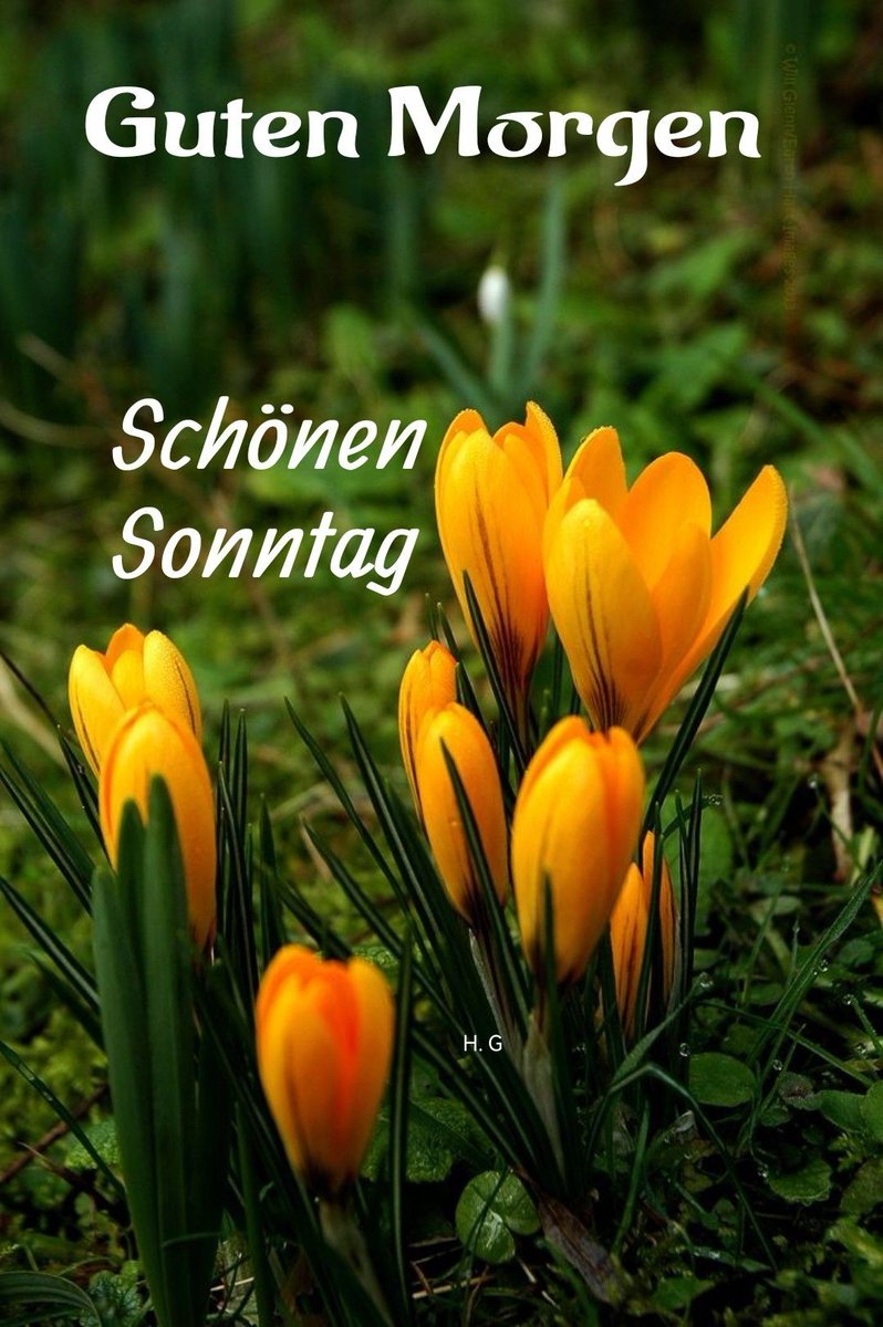 Ostdeutsch 😎 (@ralfhennig9) on Twitter photo 