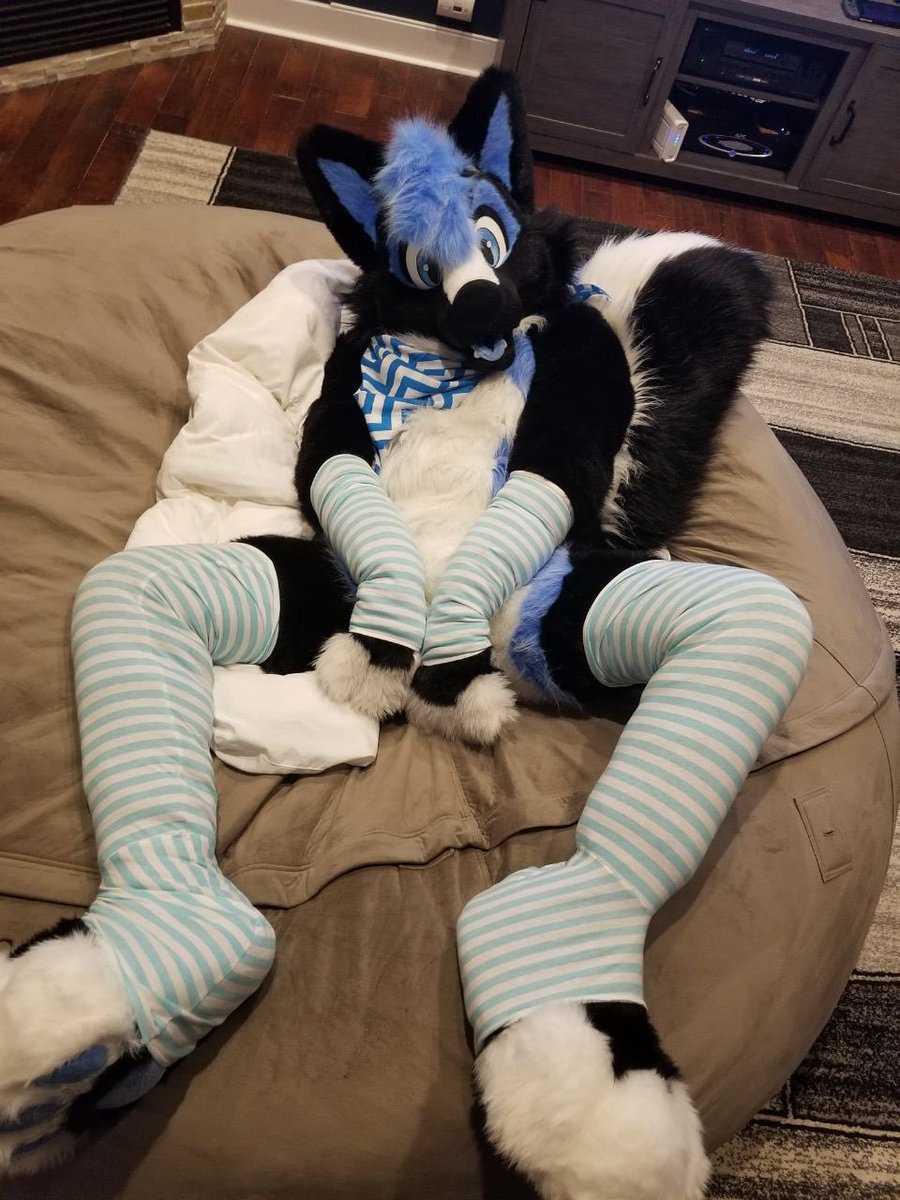 FursuitStocking's tweet photo. HEY FLUFFY CRITTERS!

You ever wanted some stripey accessories to accentuate your fursuit?

Then consider Fursuit Stockings! 💗

Quick turn-around, worldwide shipping, and even optional matching underwear available on request! 🩲

Interested? Order here!

https://t.co/7pFKe5pj7K https://t.co/cunbBk231B