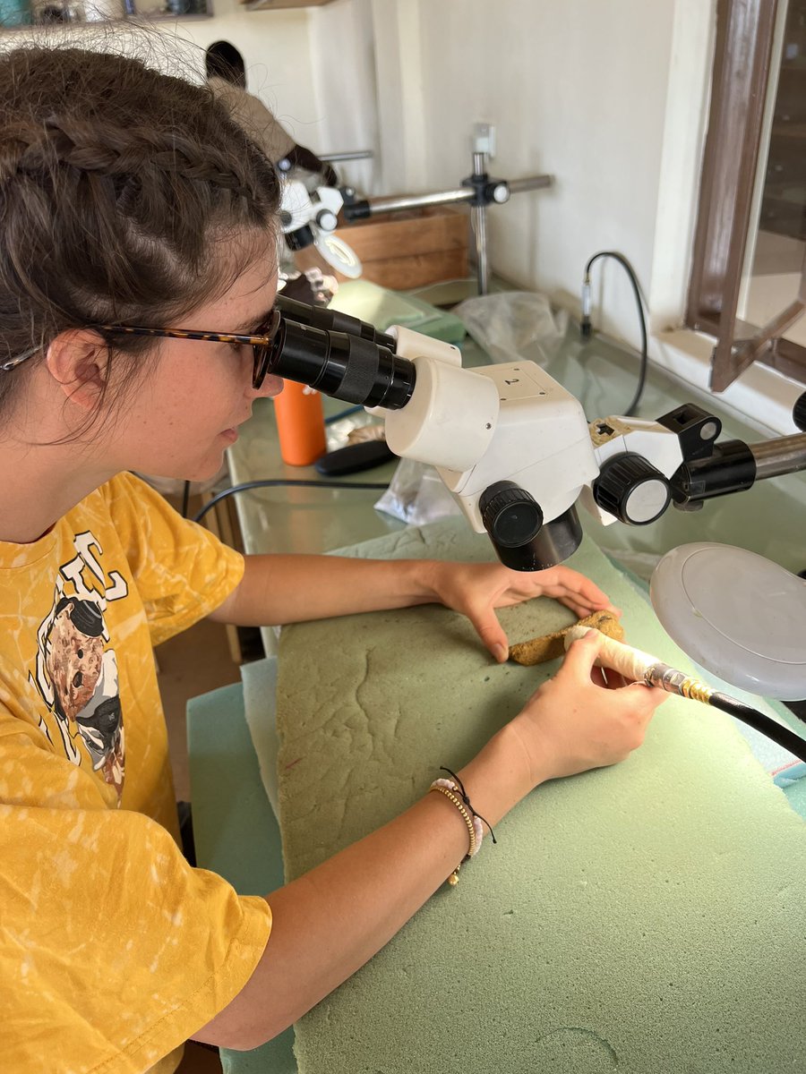 Magdalena Palisson-Kramer tweet media