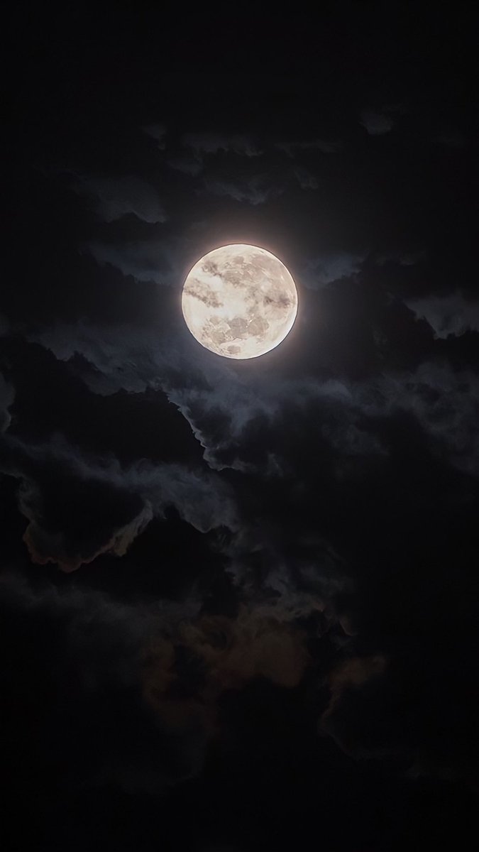 moonloverxjpg's tweet photo. moon lover https://t.co/6hqHuFYJ8q