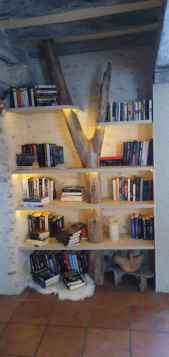 « Lire est le seul moyen de vivre plusieurs fois. », 

Pierre Dumayet, journaliste français.