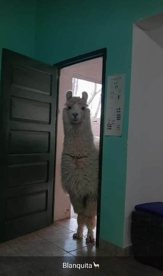 pov: vivís en Jujuy