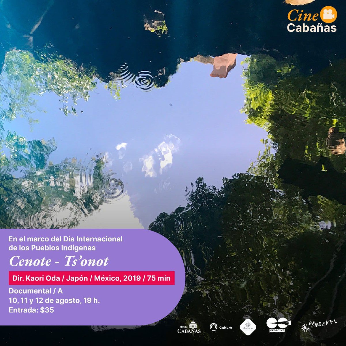 CineVendaval's tweet photo. @museocabanas ¡Hoy a las 19h no se pierdan "Ts'onot" en Guadalajara!
Entrada 35$
¡Los esperamos! https://t.co/Y9GX3SkuZT