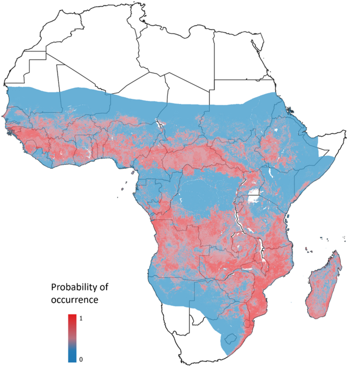 Anopheles funestus, is an important vector species responsible for most malaria  transmission in some parts of Africa, in particular the east and southern Africa region. This review by my colleague <a href="/odero_joe/">Joel Odero, PhD</a> provides some essential details on  four key research areas related to