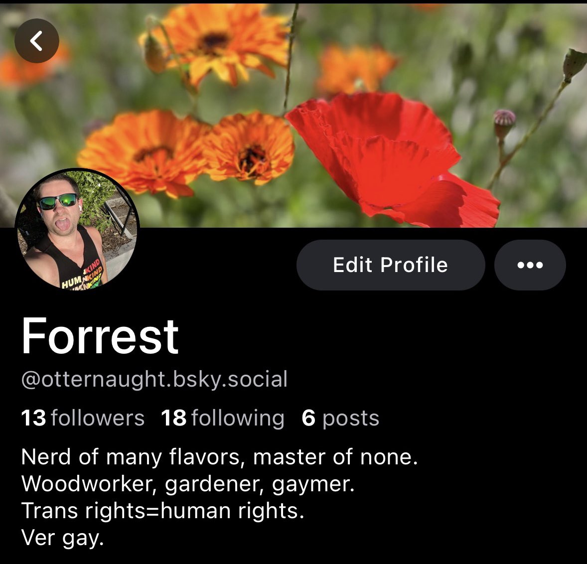 Forrest tweet media