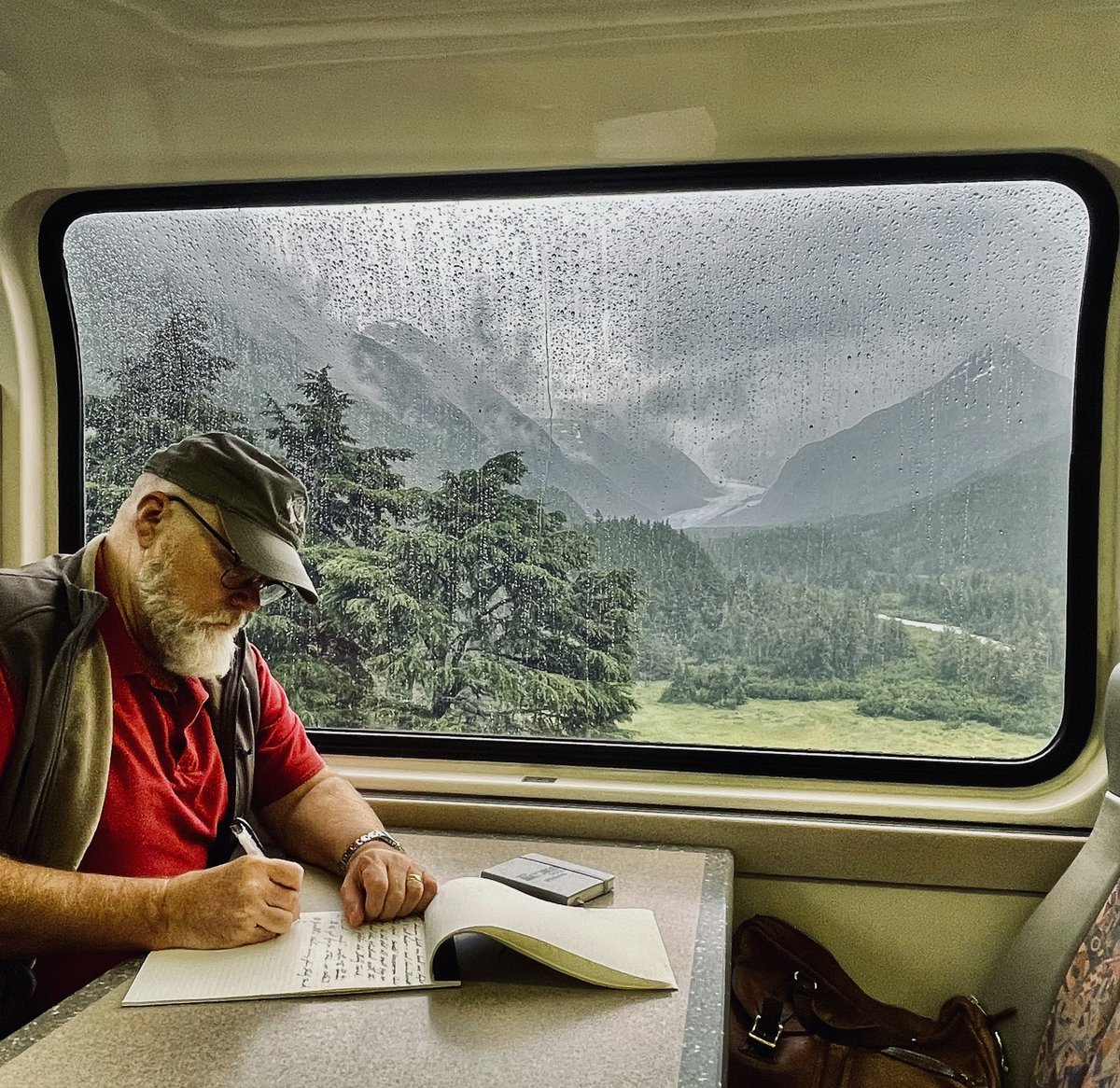 Another pic from our trip on the Alaska Railroad Glacier Discovery train. We practically had the whole upper level to ourselves. Easy to see why they call the place Grandview. It’s a great way to see Alaska—and get a little inspiration. #alaskarailroad #arlisscutter #amwriting