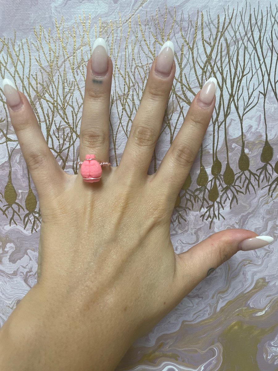 Briana Renda🧠 tweet media