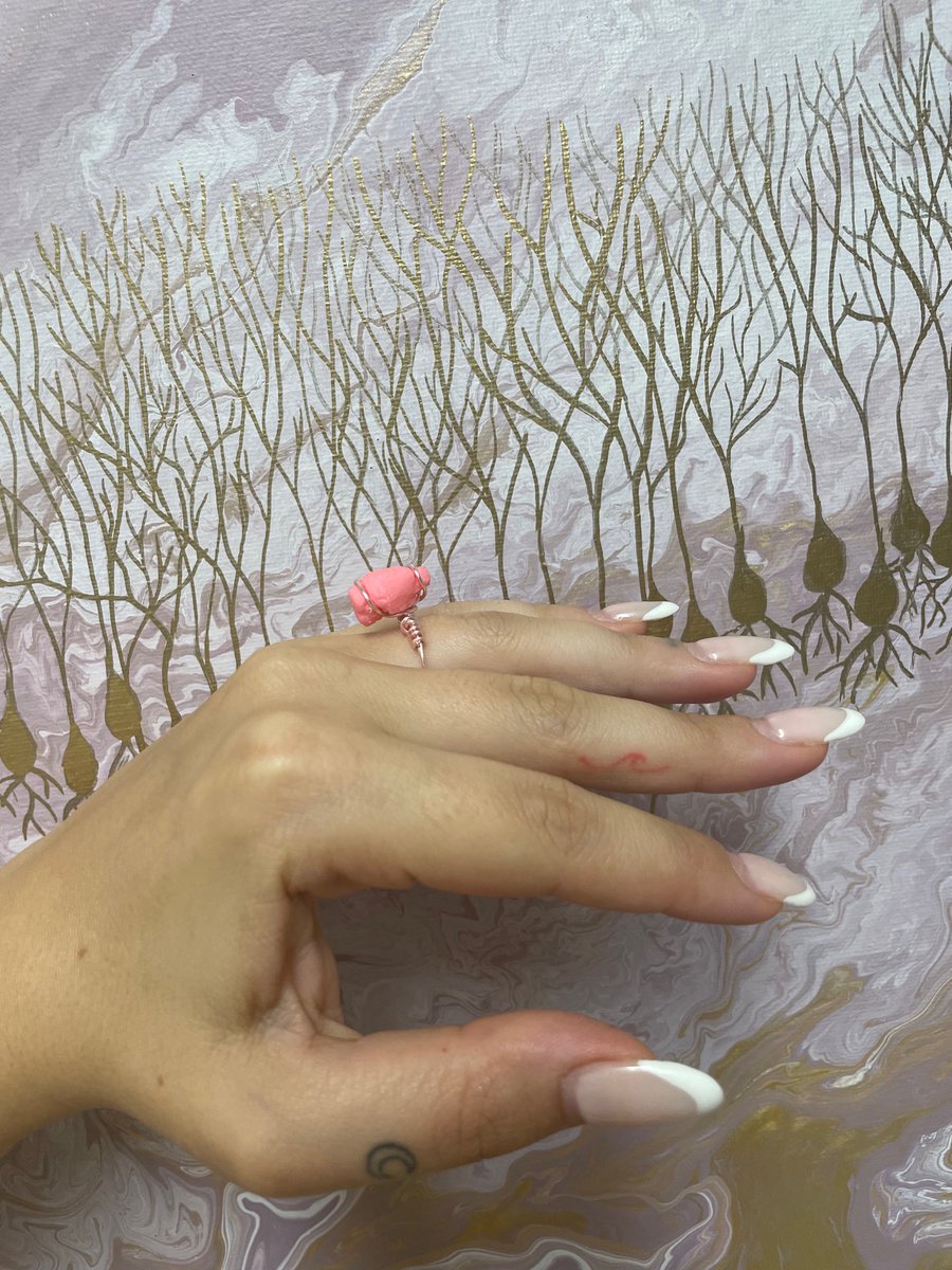 Briana Renda🧠 tweet media