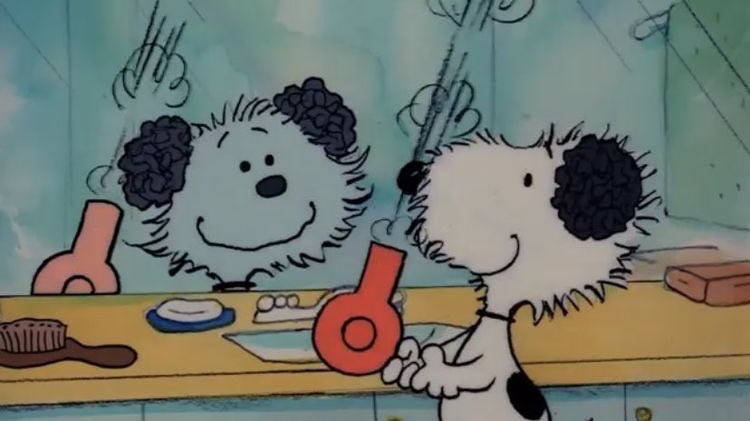 gir1genius's tweet image. face reveal (real and true)